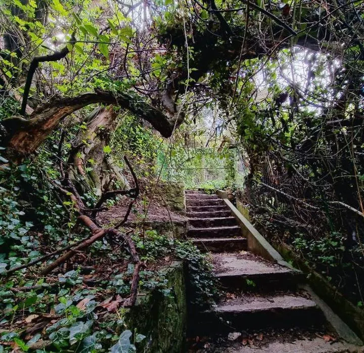 Σπίτι διακοπών Casa Rural El Parral Bedmar y Garciez Ισπανία